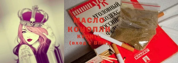 гашик Алексин