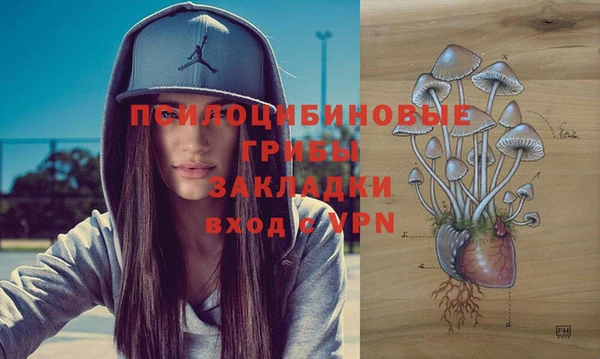 круглые Абаза