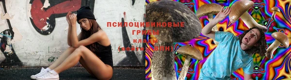 круглые Абаза