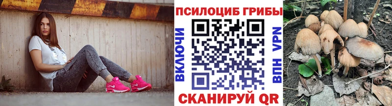 Галлюциногенные грибы мицелий  купить   Гагарин 