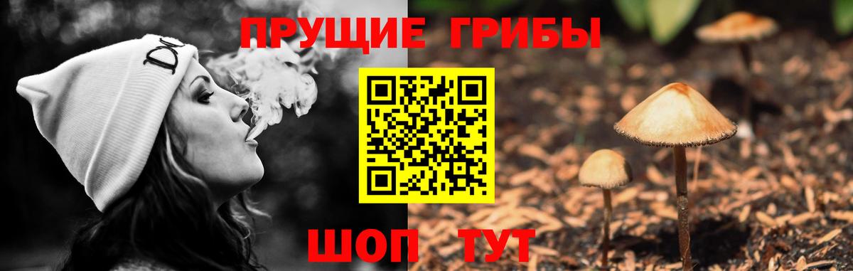 Галлюциногенные грибы Cubensis  Вход с VPN  где можно купить   Гагарин 