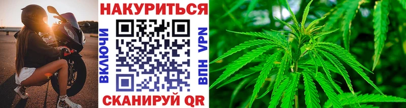 Конопля гибрид Гагарин